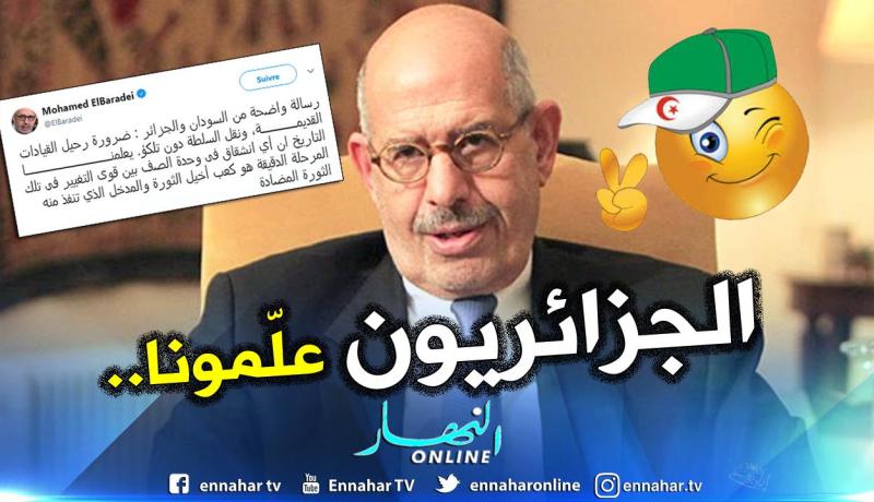 محمد البرادعي: “الجزائريون علمونا أن وحدة الصف ضرورية لتحقيق الأهداف”