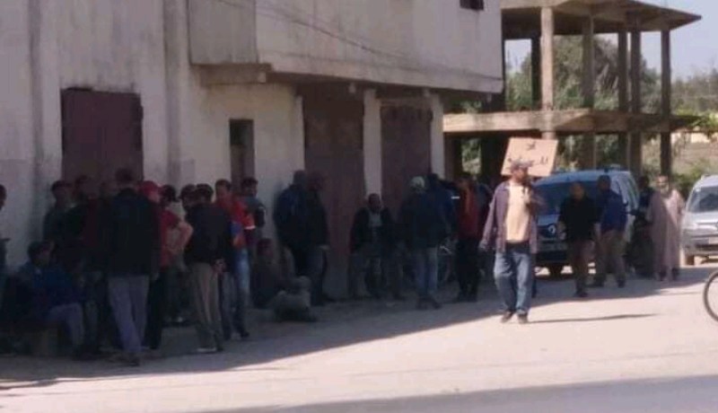 الشلف.. عمال مزرعة علي عيشوبة يحتجون للمطالبة بتحسين ظروفهم المهنية