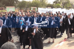محامو الجهة الغربية يخرجون في مسيرة مساندة للحراك بوهران