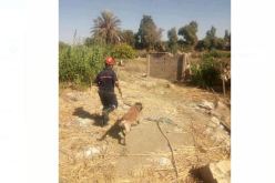 الشلف: الحماية المدنية تجري تدريب ميداني للبحث عن الضحايا بين الردوم