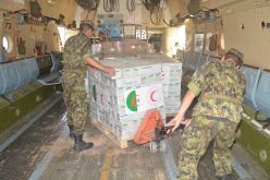 بالصور.. الجيش ينقل 101 طن من المساعدات الجزائرية إلى النيجر