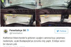 بالصور.. الطيور تجبر طائرة فريق فنربختشة على هبوط إضطراري