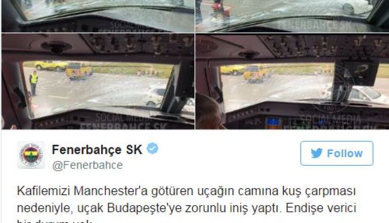 بالصور.. الطيور تجبر طائرة فريق فنربختشة على هبوط إضطراري