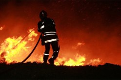 حريق يلتهم 3.5 هكتار من الأشجار الغابية بتيسمسيلت
