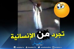 بالفيديو.. موال ينهال ضربا على شاته ويعيد سيناريو “تاكلي الجاج”