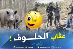 15 حملة صيد تقضي على 145 خنزير بالعاصمة
