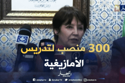 بن غبريت: سوف نوفر 300 منصب شغل لتدريس اللغة الأمازيغية 2018- 2019