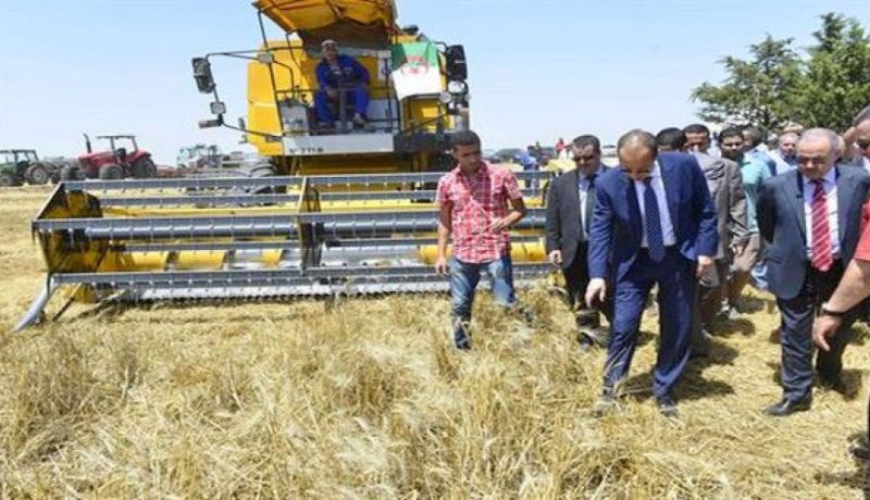 إلغاء الدعم لمادة الشعير يستجيب لمواجهة المضاربين