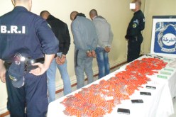 حجز 300 قرص مهلوس في عمليتين مختلفتين بالنعامة