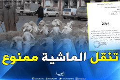 غلق أسواق الماشية ومنع تنقل الأغنام بجيجل