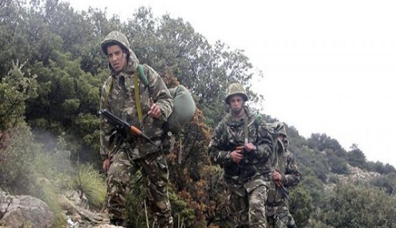 تدمير13 مخبأ مهيأ والكشف عن ذخيرة بباتنة وسكيكدة