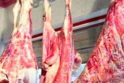 استيراد كميات إضافية من اللحوم الحمراء للحفاظ على استقرار الأسعار خلال رمضان