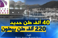 مُمثل “ETRHB” :”لهذا السبب كلفنا مركب تيزي وزو 5 آلاف مليار”