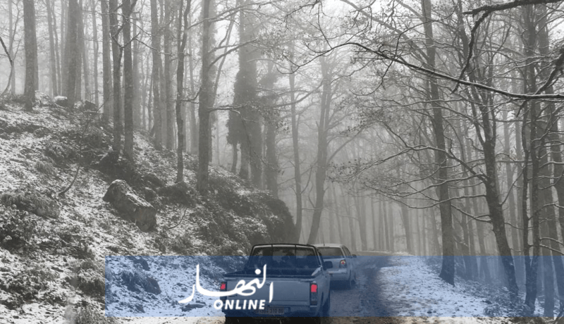 إستمرار تساقط الأمطار والثلوج إلى غاية مساء السبت.. هذه هي الولايات المعنية