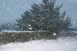 بالفيديو السعودية تكتسي حلة الثلوج في حادثة مناخية نادرة