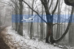 بالصور ..بجاية تلبس الثوب الأبيض