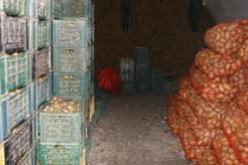 الخسائر التي تكبدها الفلاحون بسبب ارتفاع منتوج البطاطا ستؤثر سلبا على الموسم الحالي