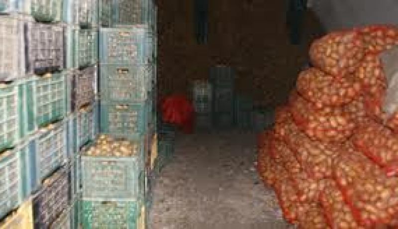 الخسائر التي تكبدها الفلاحون بسبب ارتفاع منتوج البطاطا ستؤثر سلبا على الموسم الحالي