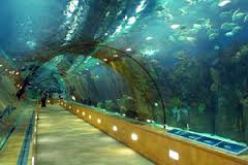 الصين تعلن عن اكتشاف مدينة تحت الماء عمرها ألف سنة