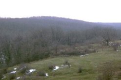 سلال يعلن عن تمديد مدة عقود استغلال الأراضي الغابية الشاغرة