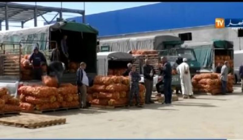 بالفيديو.. فتح 10 نقاط جديدة لبيع البطاطا بـ 40 دج بالعاصمة
