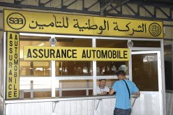 الشركة الوطنية للتأمين ترفع رأسمالها إلى 30 مليار دينار