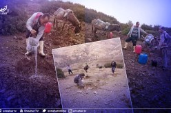 الشلف: إنطلاق الأشغال بمشروع غرس 25 هكتارا بالأشجار الغابية بجبل سنكوح بالظهرة