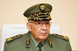 ڨايد صالح…الجيش سيتصدى بقوة لكل من يريد تعريض الجزائر للخطر
