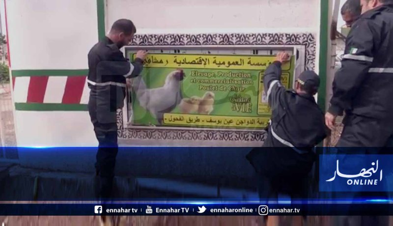 تلمسان: المؤسسة العمومية الاقتصادية “رمشافي” تستعيد وحدة تربية الدواجن بعين يوسف