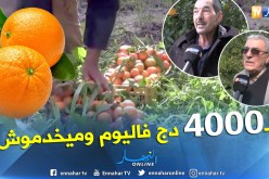 بالفيديو.. الشباب يرفضون العمل في الفلاحة