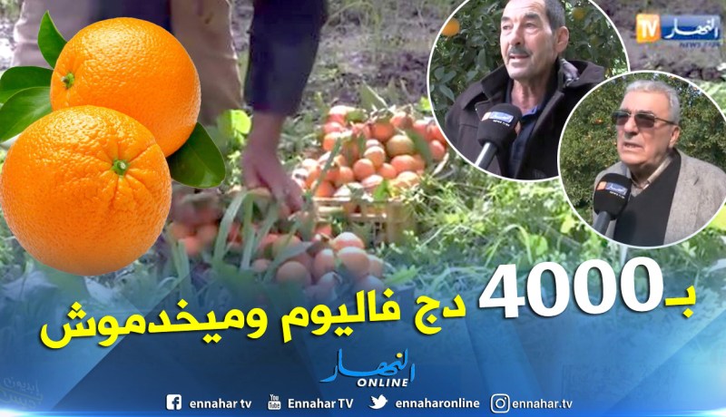 بالفيديو.. الشباب يرفضون العمل في الفلاحة