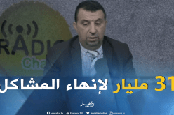 31 مليار دينار لإنهاء مشكل المياه بـ 590 بلدية
