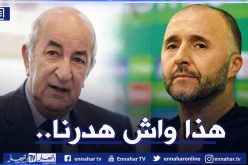 رئيس الجمهورية:”جميع البلدان يحسدوننا على بلماضي”