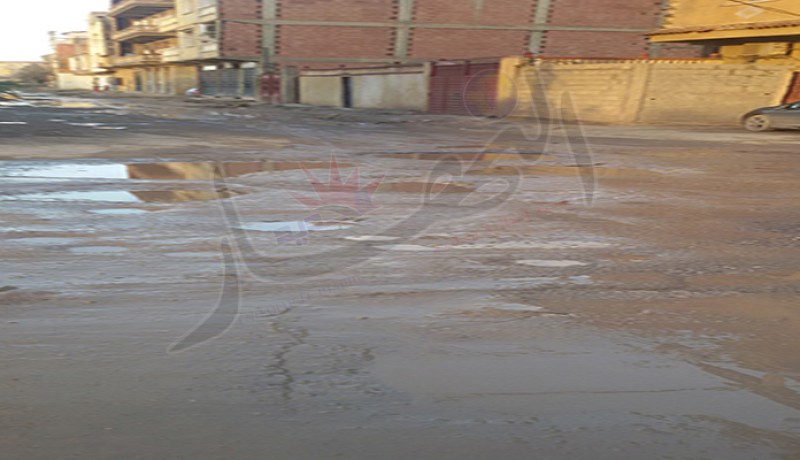 بالصور مستنقعات تغزو حي اسطنبول في بلدية برج الكيفان شرق العاصمة