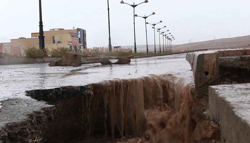 ملايير البريـكولاج تغرق في قطرة ماء