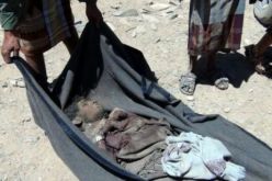 مقتل 7 عناصر من تنظيم القاعدة في مواجهات مع الجيش اليمني بجنوب البلاد