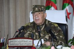 قايد صالح يشيد بالروح التضامينة للشعب الجزائري مع شهداء الطائرة