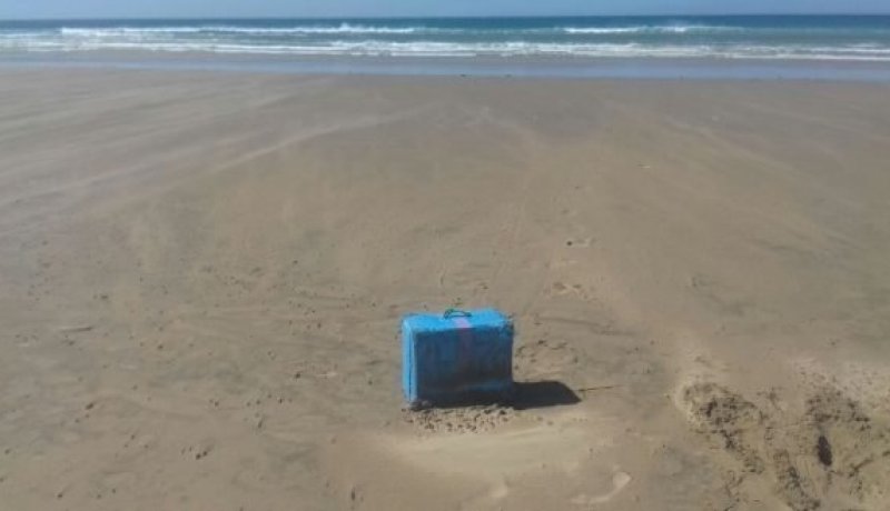 العثور على 30 كلغ من الكيف بسواحل تيبازة