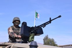 الجيش يحجز قرابة 4 قناطير من الكيف المعالج