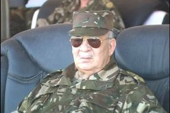 قايد صالح يبعث برسالة لمغاوير البحرية بسكيكدة