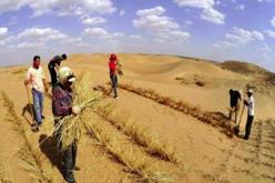 غرس نحو 68 ألف هكتار من المحميات السهبية لمكافحة التصحر بالبيض