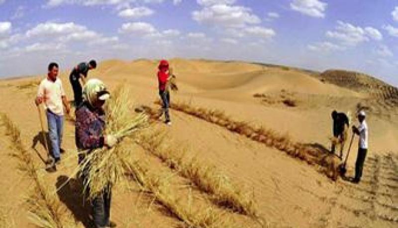 غرس نحو 68 ألف هكتار من المحميات السهبية لمكافحة التصحر بالبيض