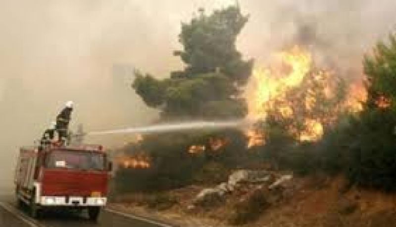 النيران تتلف 80 هكتارا من الغطاء النباتي بعد موجة الحر في قسنطينة