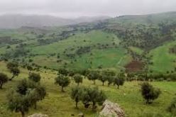 دراسة لفتح 25 موقع غابي جديد بالجزائر العاصمة