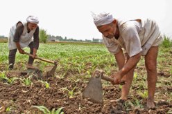 عليوي يدعو بالبليدة إلى التعجيل بتسليم عقود الامتياز للفلاحين