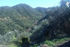 الموروث الثقافي والشعبي لسكيكدة بالعاصمة من 27 أبريل الى 01 مايو