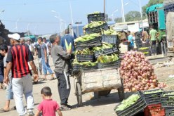 أسواق الجملة للخضر والفواكه تشهد غياب التنظيم والتجارة الموازية