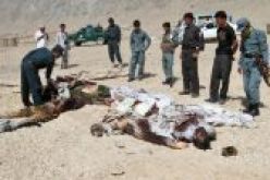 طالبان الافغانية تعدم بوحشية 5 اشخاص يعملون في قاعدة أجنبية