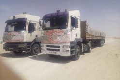 الوادي: فلاحو حاسي خليفة يهيبون 400 قنطار بطاطا لسكان البليدة