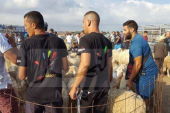 مجموعة بصمة خير توزع 37 أضحية على العائلات المعوزة بعنابة